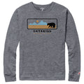Victory Falls Long Sleeve T-Shirt- Send Me a Postcard/Fall Heather
